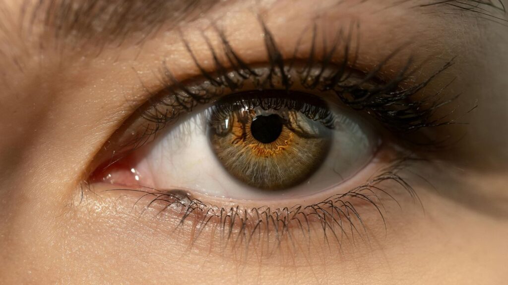 Como se destacar sendo lash designer Como se destacar sendo lash designer img